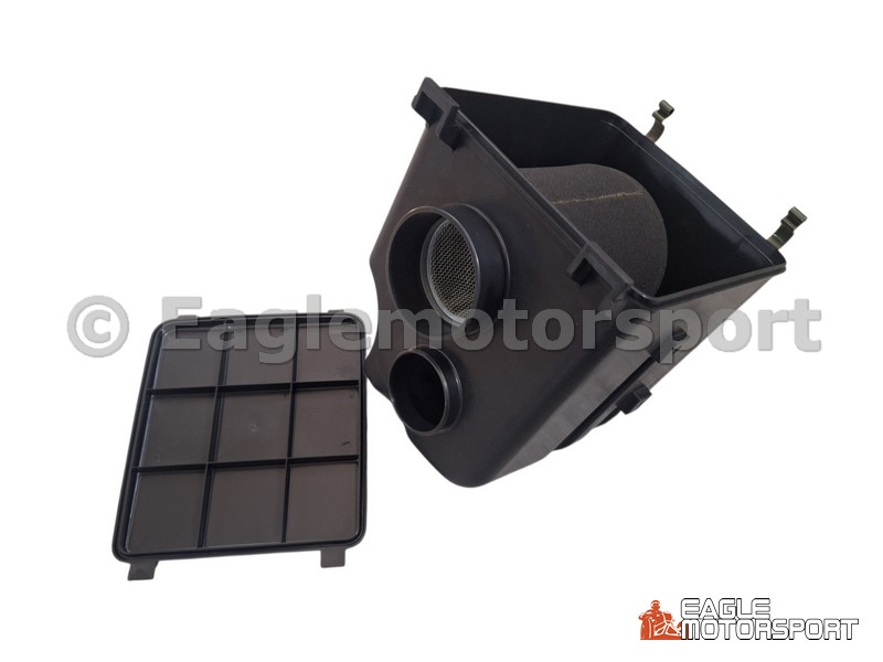 Air Filter Assy, Access SP250/300